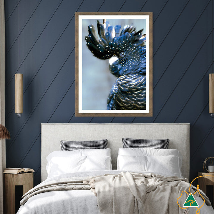 COCKATOO BLACK I - Framed Print