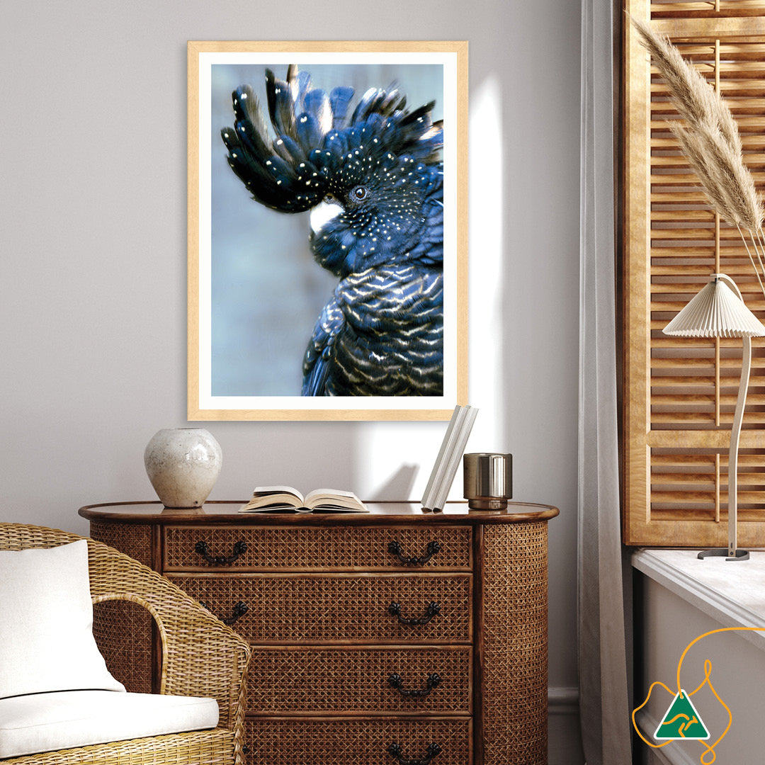 COCKATOO BLACK I - Framed Print