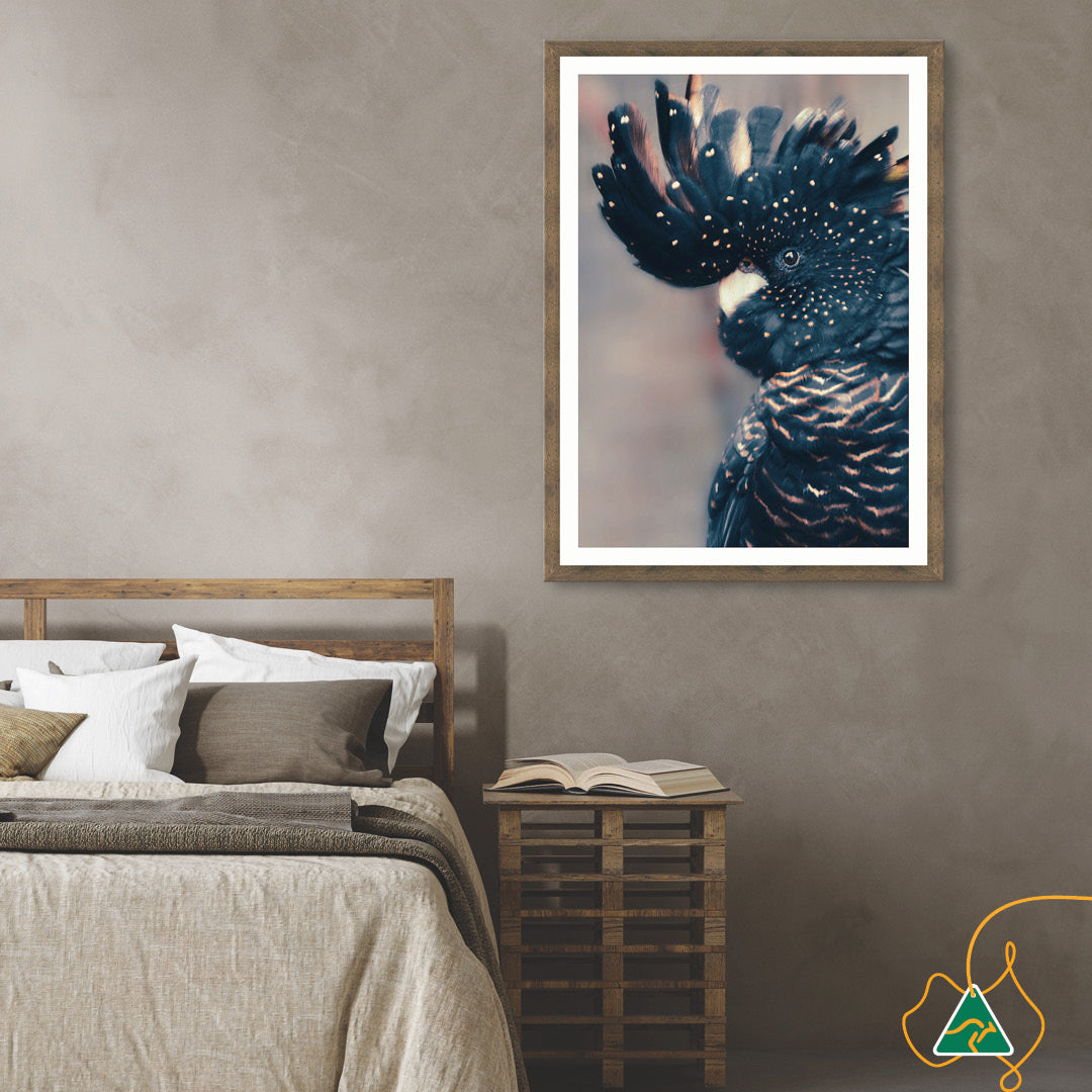 COCKATOO BLACK II - Framed Print