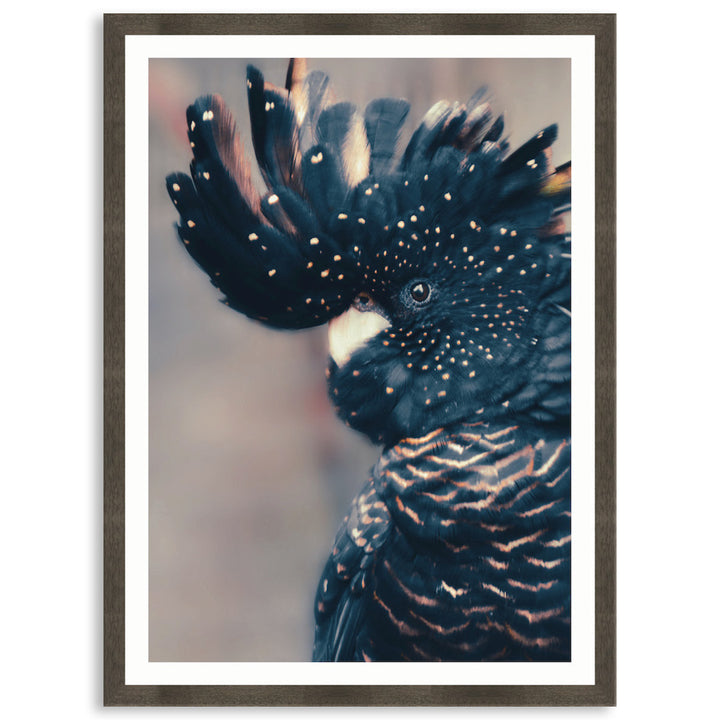 COCKATOO BLACK II - Framed Print