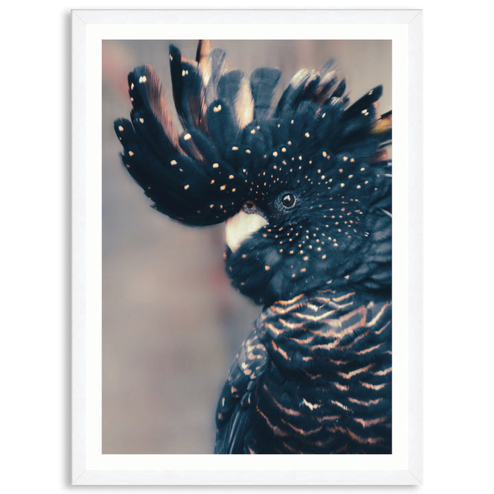 COCKATOO BLACK II - Framed Print