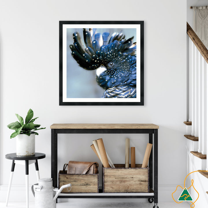COCKATOO BLACK III - Framed Print