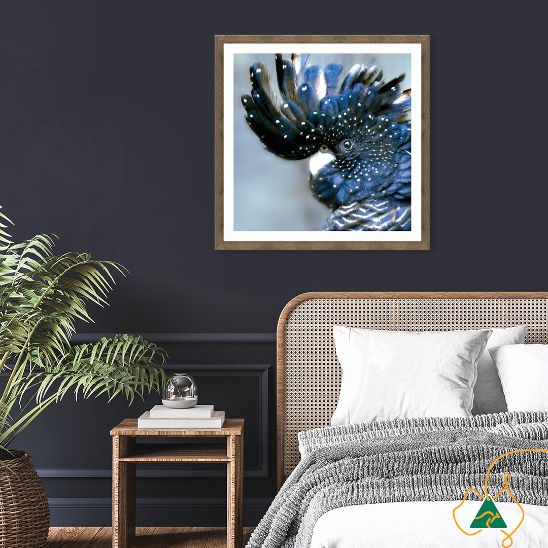COCKATOO BLACK III - Framed Print