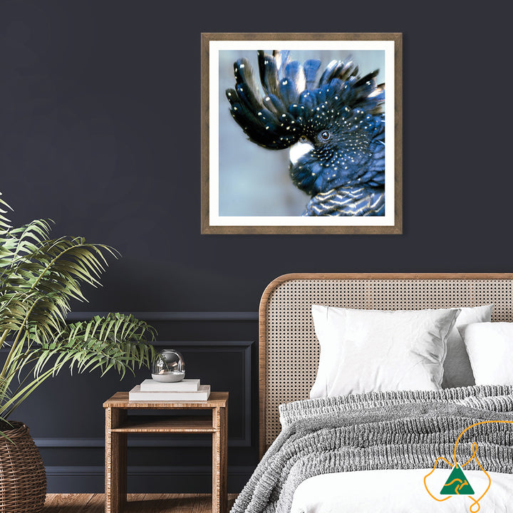 COCKATOO BLACK III - Framed Print