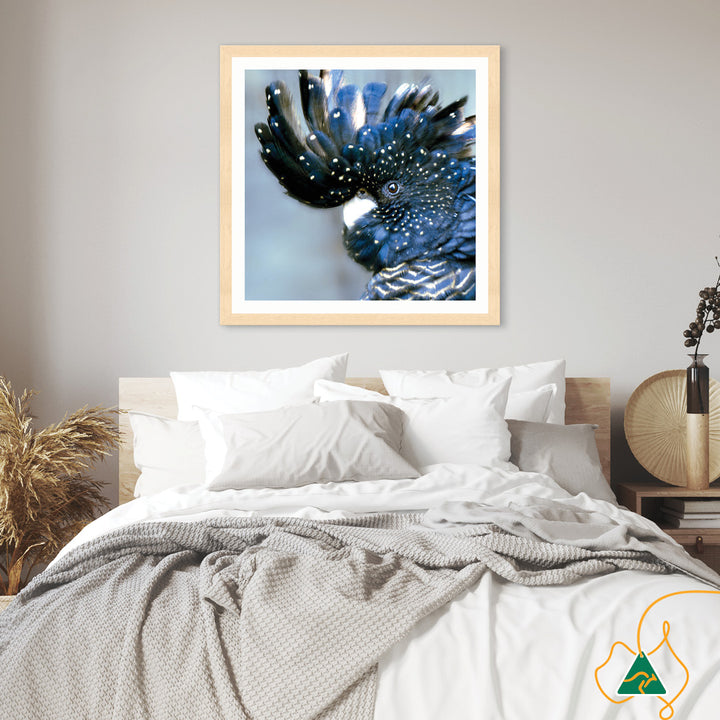 COCKATOO BLACK III - Framed Print
