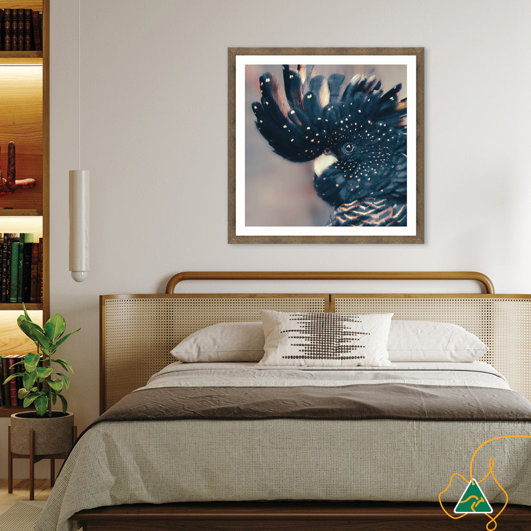 COCKATOO BLACK IV - Framed Print