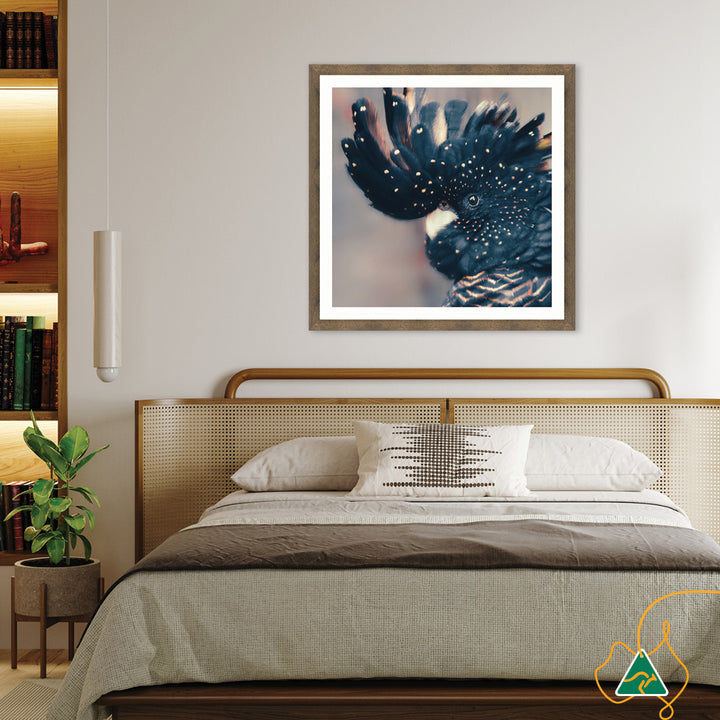 COCKATOO BLACK IV - Framed Print
