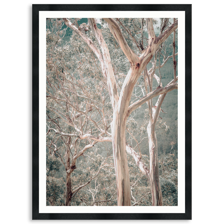 GUM TREES I - Framed Print