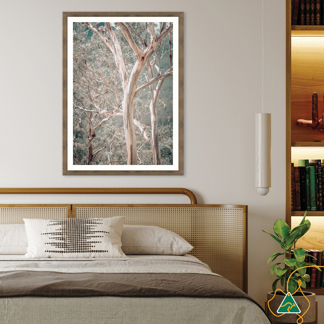 GUM TREES I - Framed Print