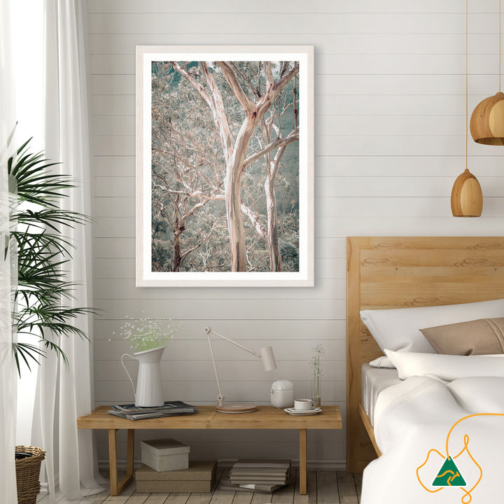 GUM TREES I - Framed Print