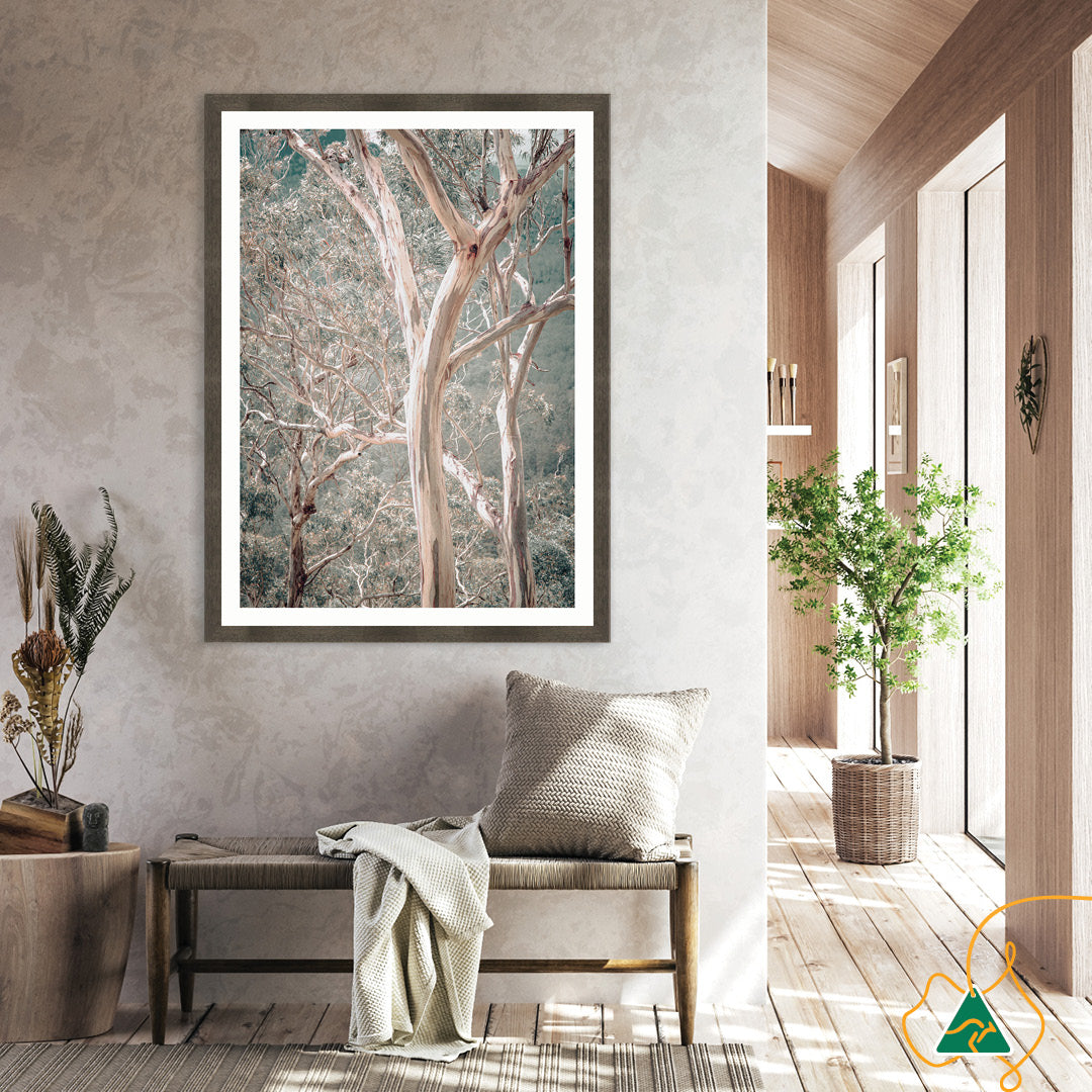 GUM TREES I - Framed Print