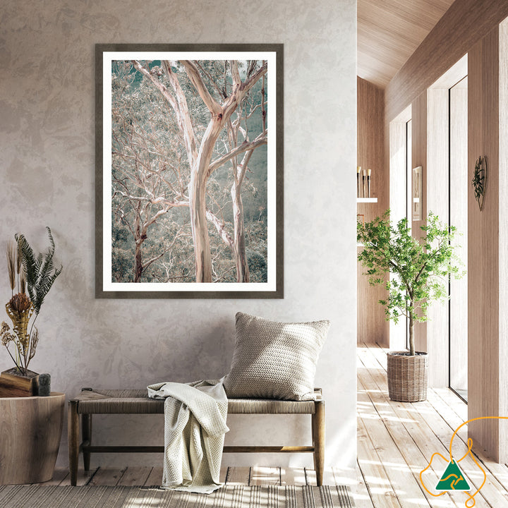 GUM TREES I - Framed Print