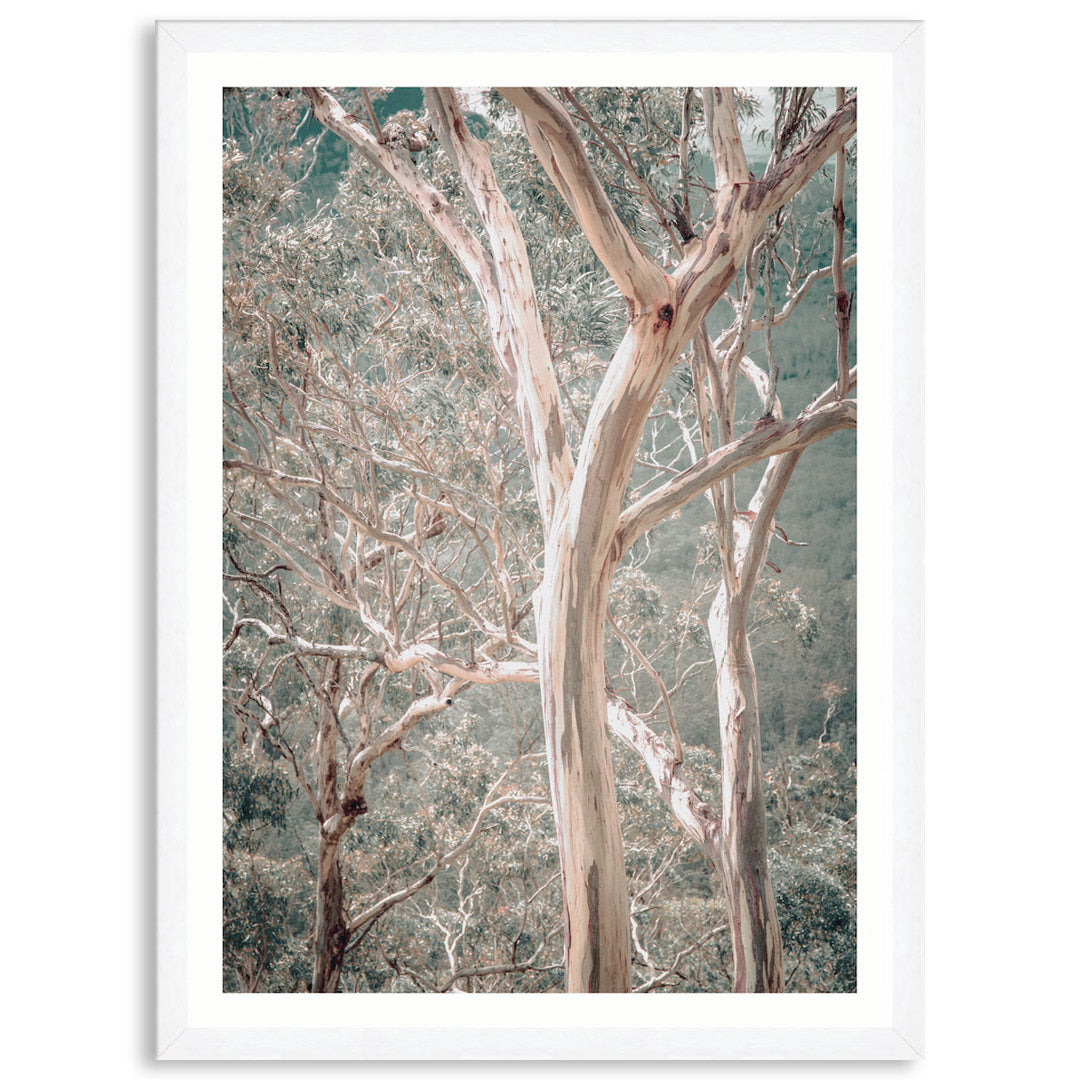 GUM TREES I - Framed Print