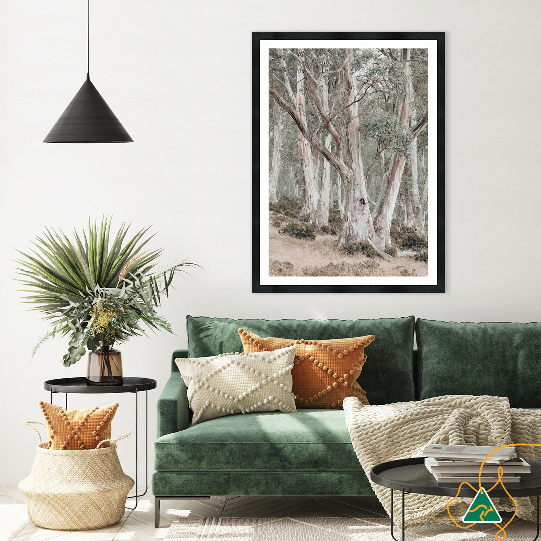 GUM TREES II - Framed Print