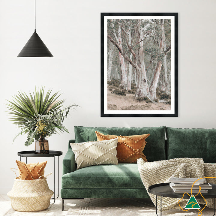 GUM TREES II - Framed Print