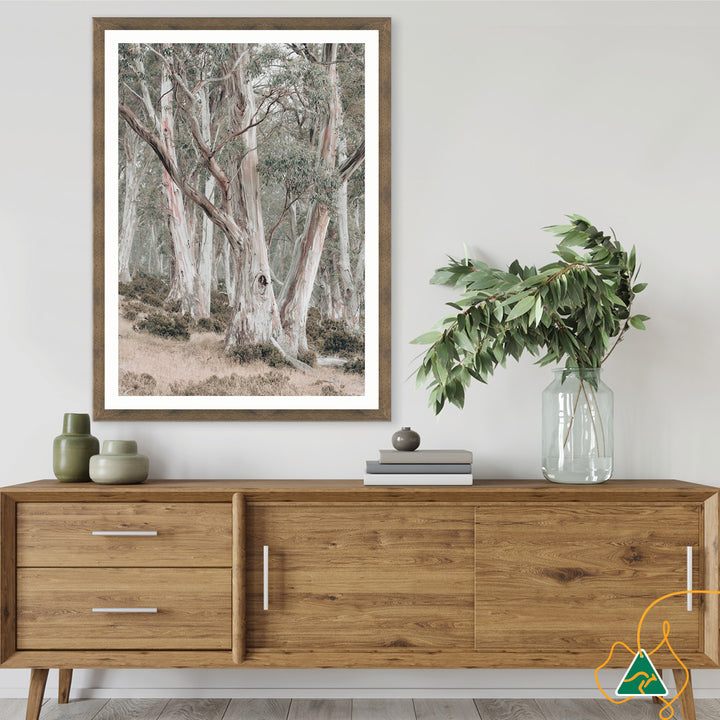 GUM TREES II - Framed Print