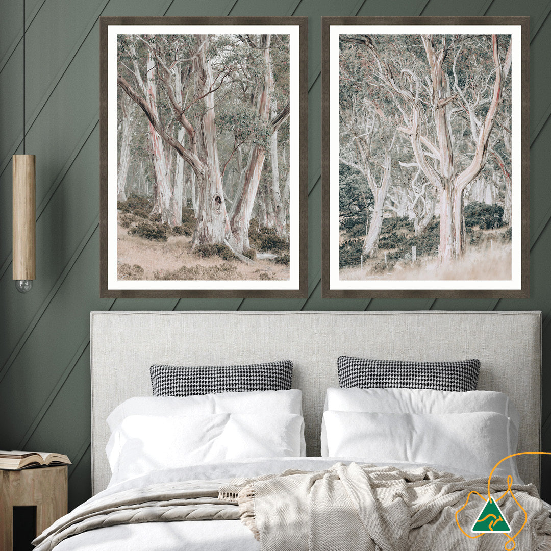 GUM TREES II - Framed Print