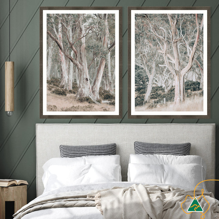 GUM TREES II - Framed Print