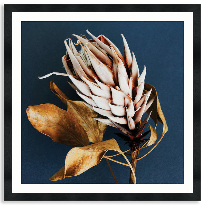 LUXE FLORAL II - Framed Print