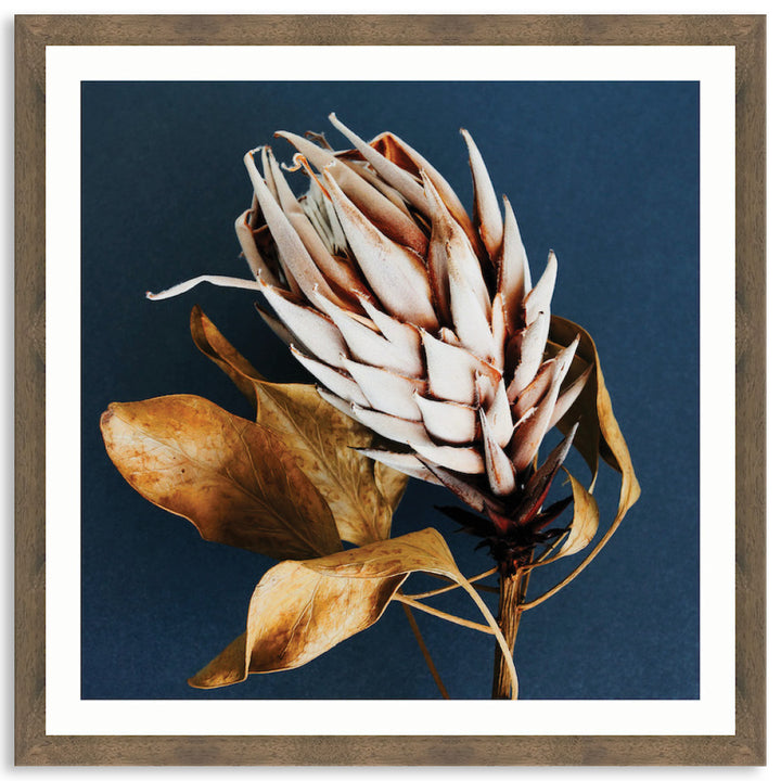LUXE FLORAL II - Framed Print