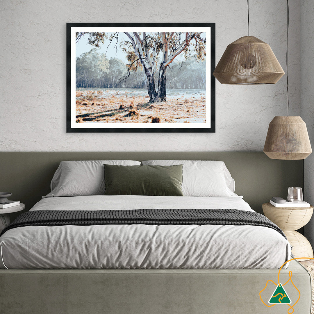 RIVER GUM I - Framed Print