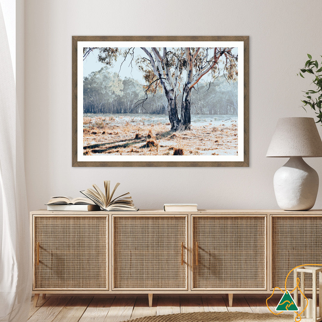 RIVER GUM I - Framed Print