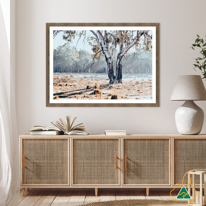 RIVER GUM I - Framed Print