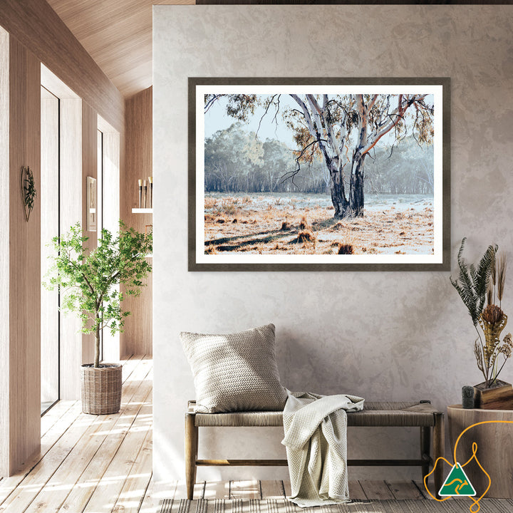 RIVER GUM I - Framed Print