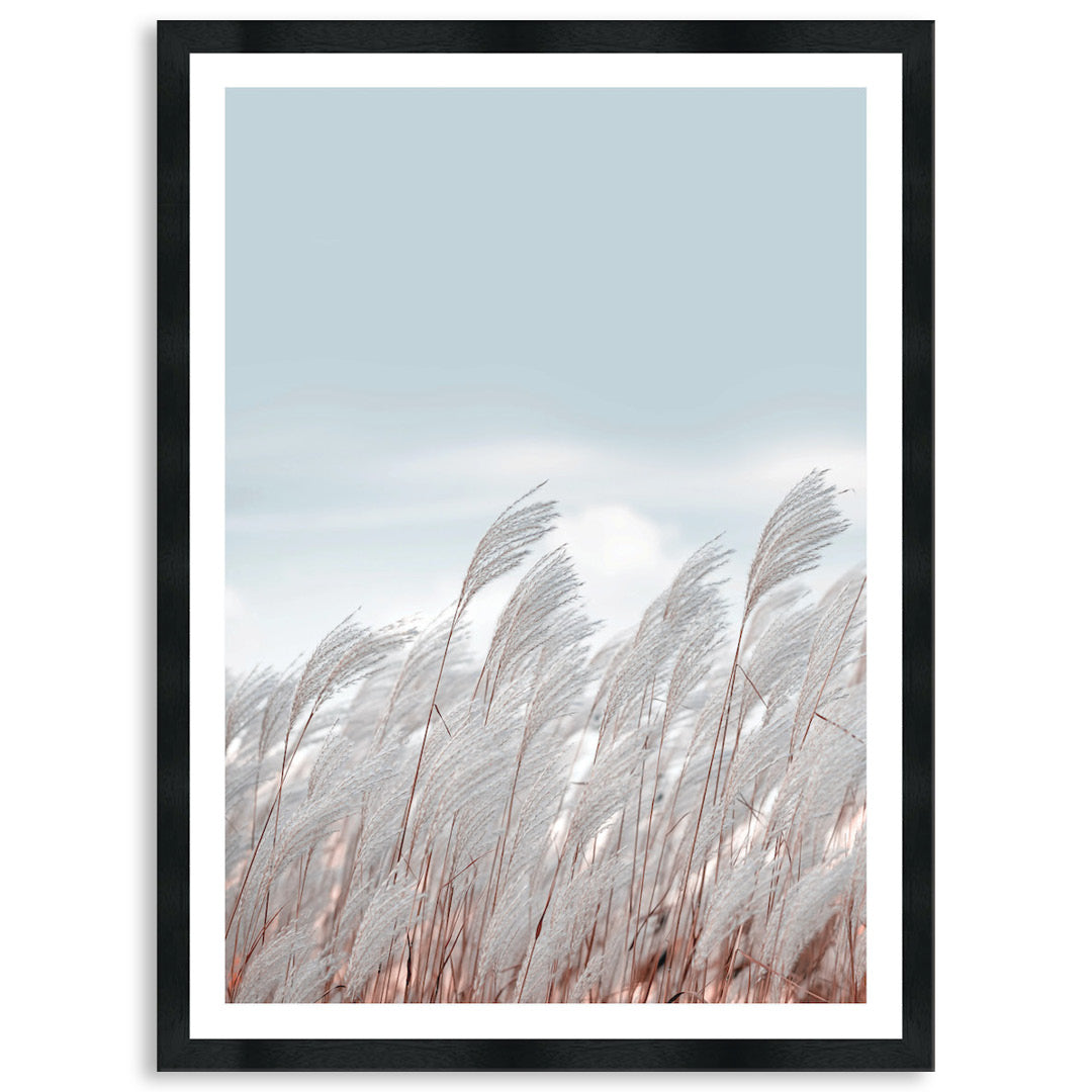SILVER GRASS III - Framed Print