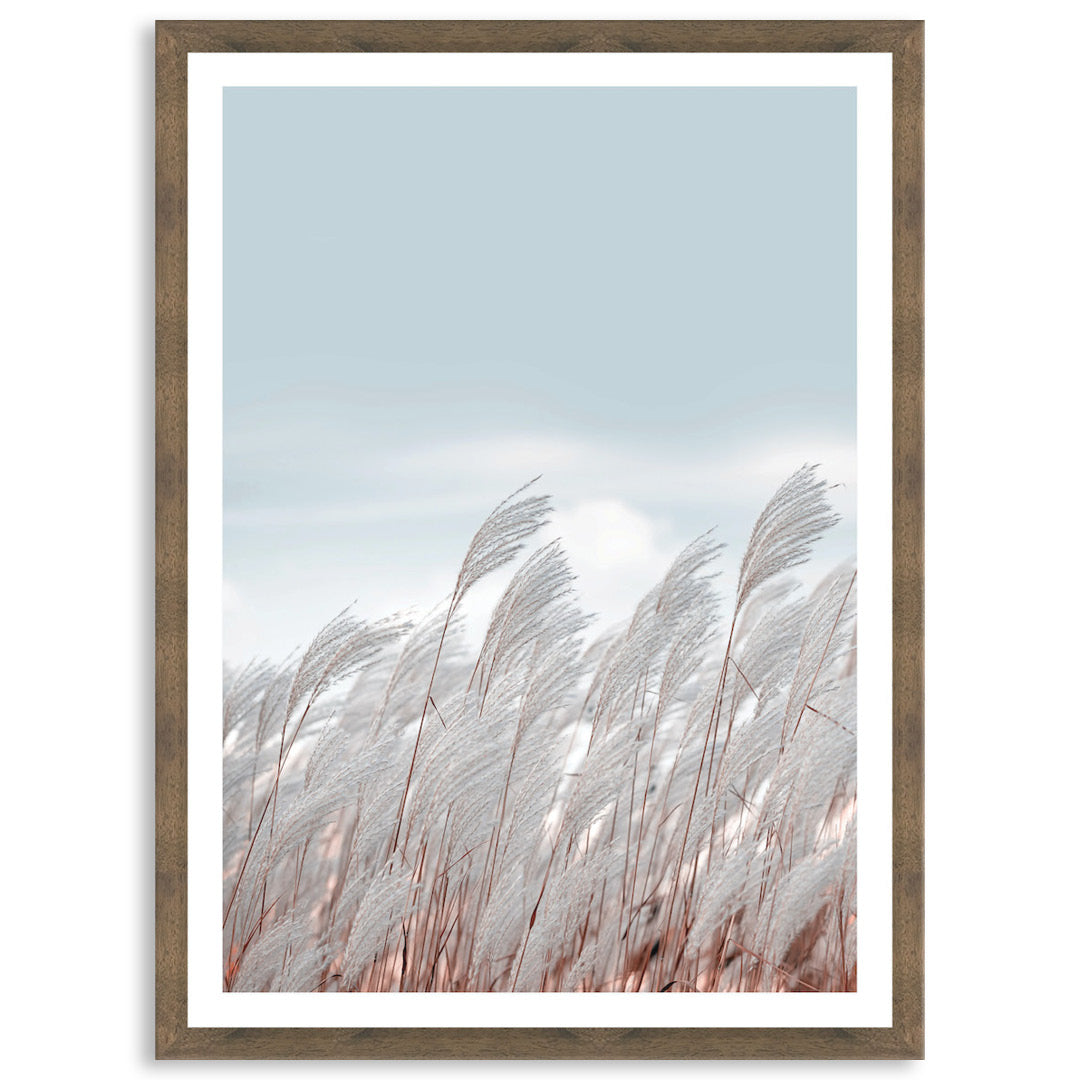 SILVER GRASS III - Framed Print