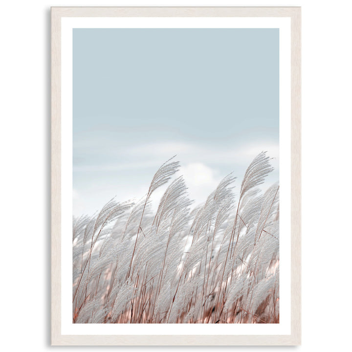 SILVER GRASS III - Framed Print