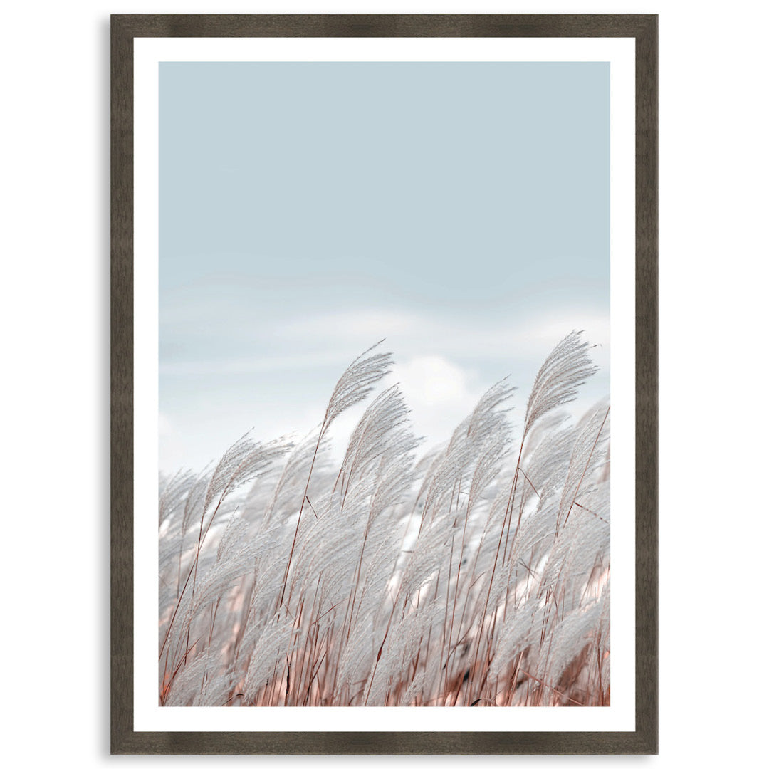SILVER GRASS III - Framed Print