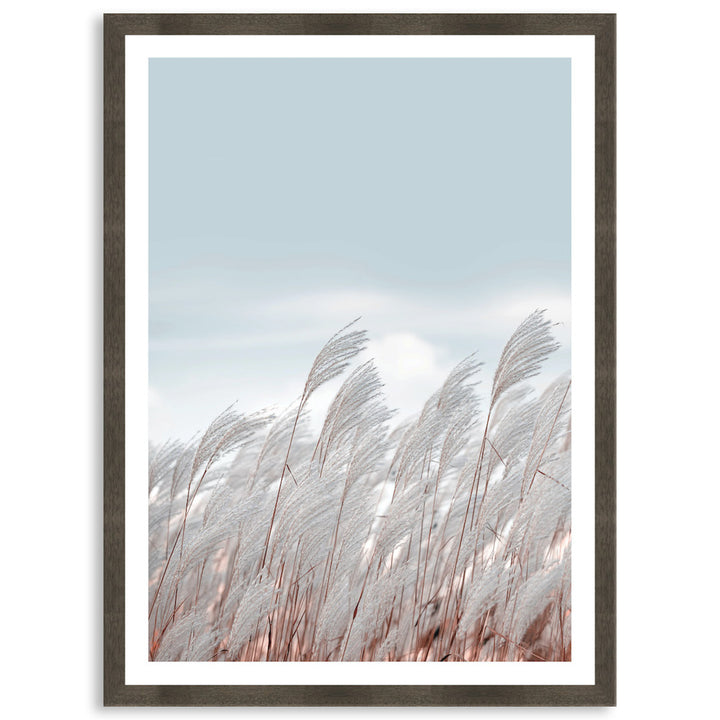 SILVER GRASS III - Framed Print