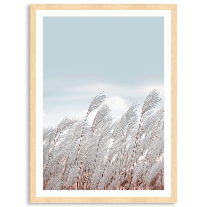 SILVER GRASS III - Framed Print