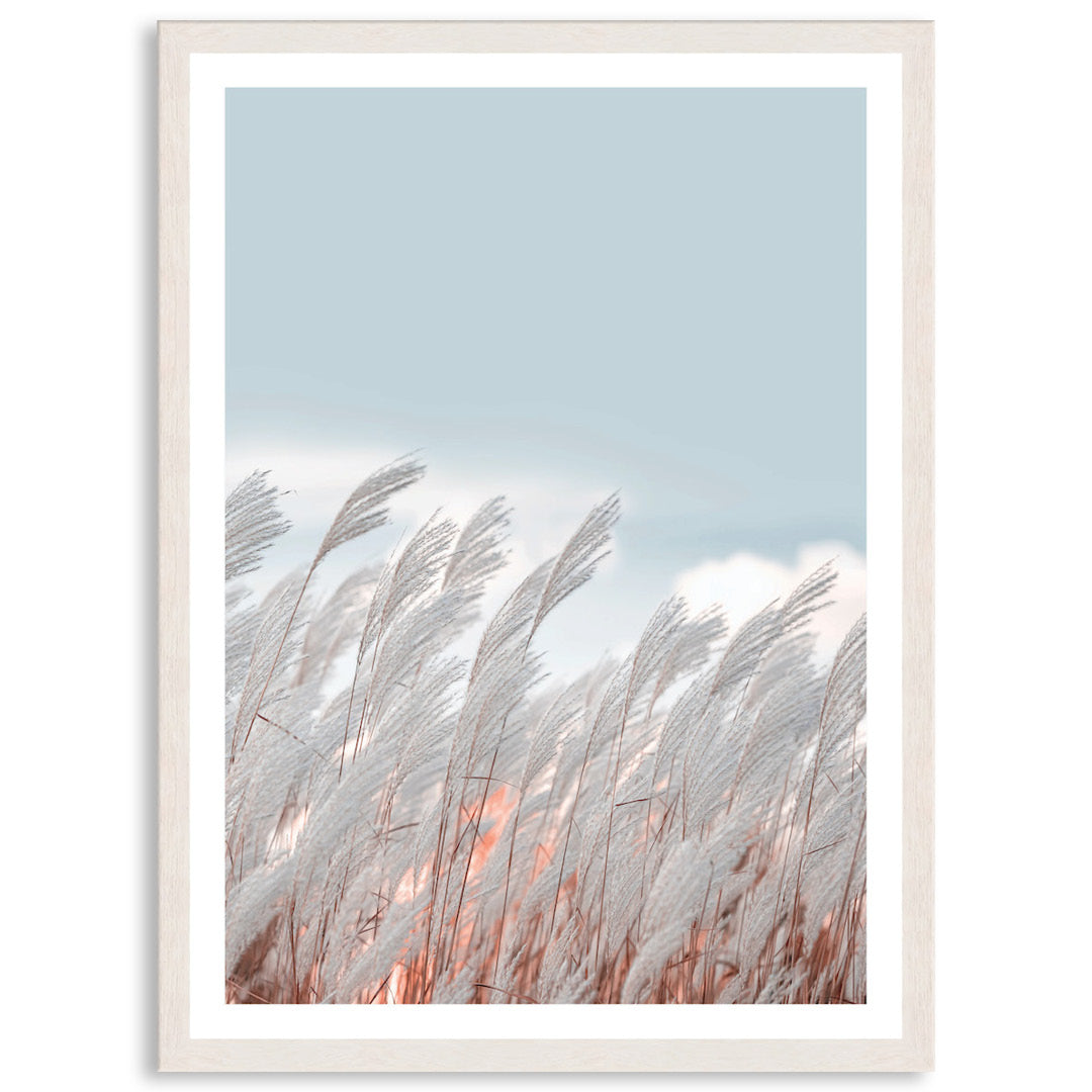 SILVER GRASS IV - Framed Print