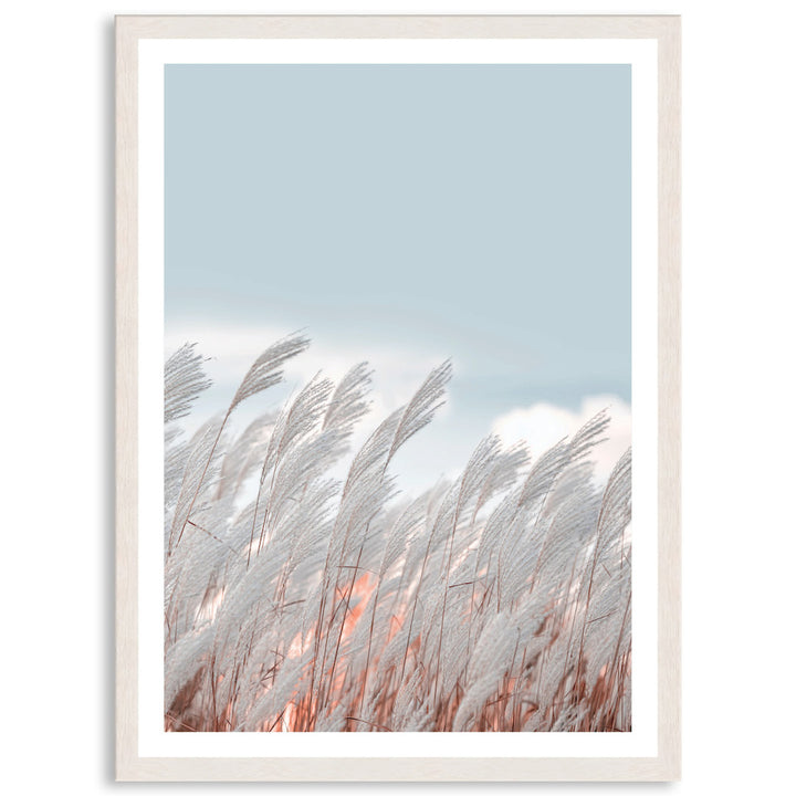 SILVER GRASS IV - Framed Print