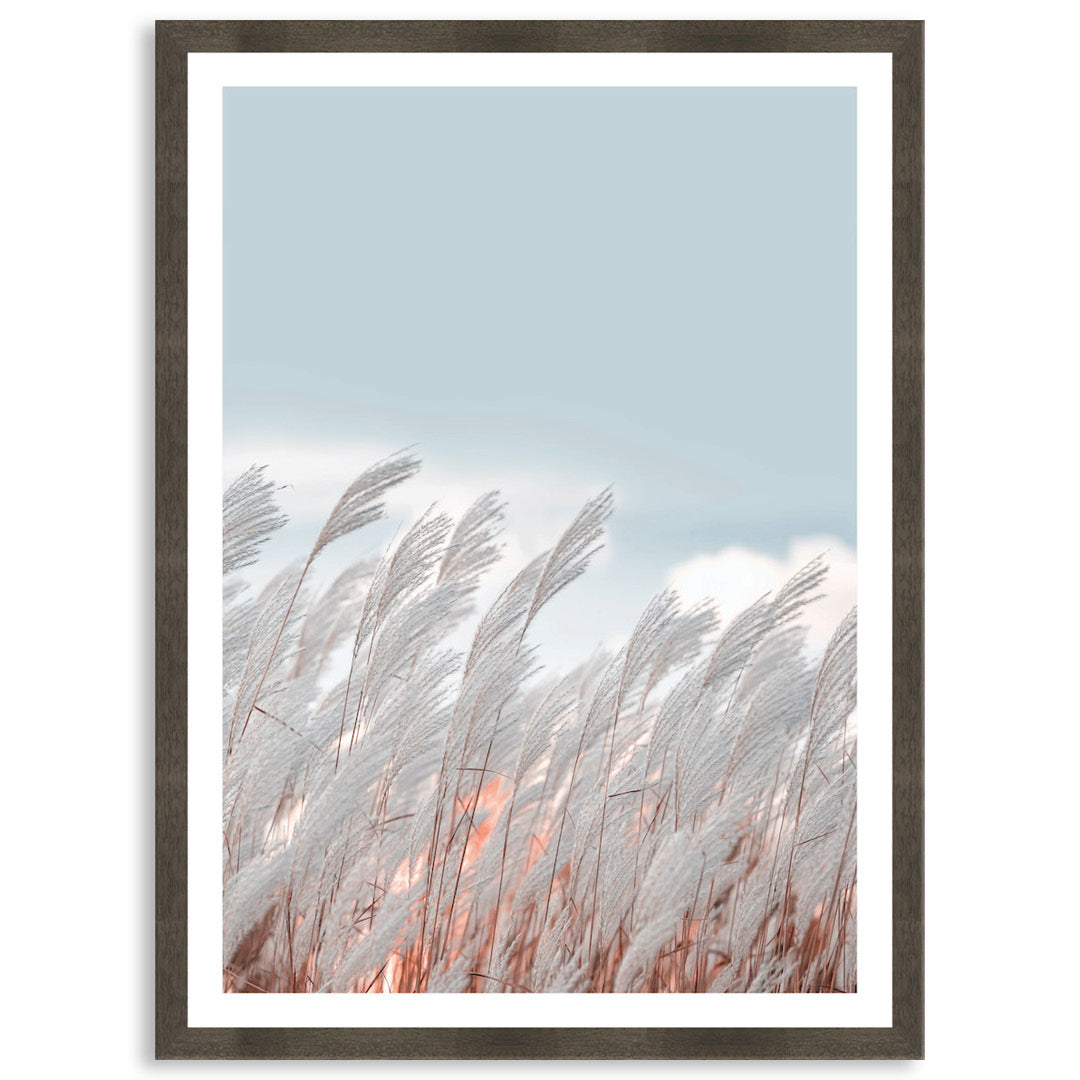 SILVER GRASS IV - Framed Print