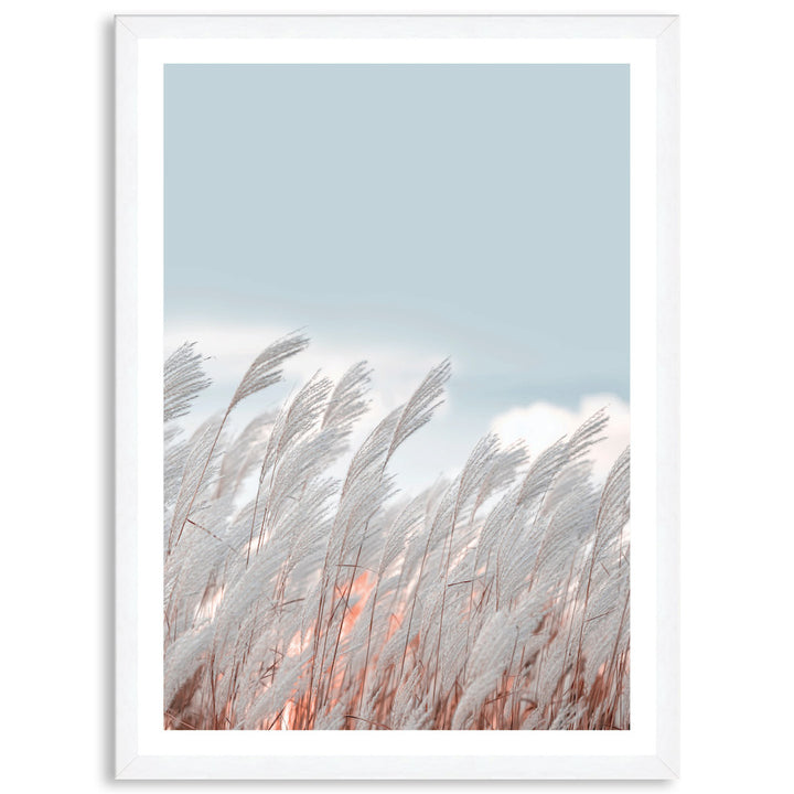 SILVER GRASS IV - Framed Print