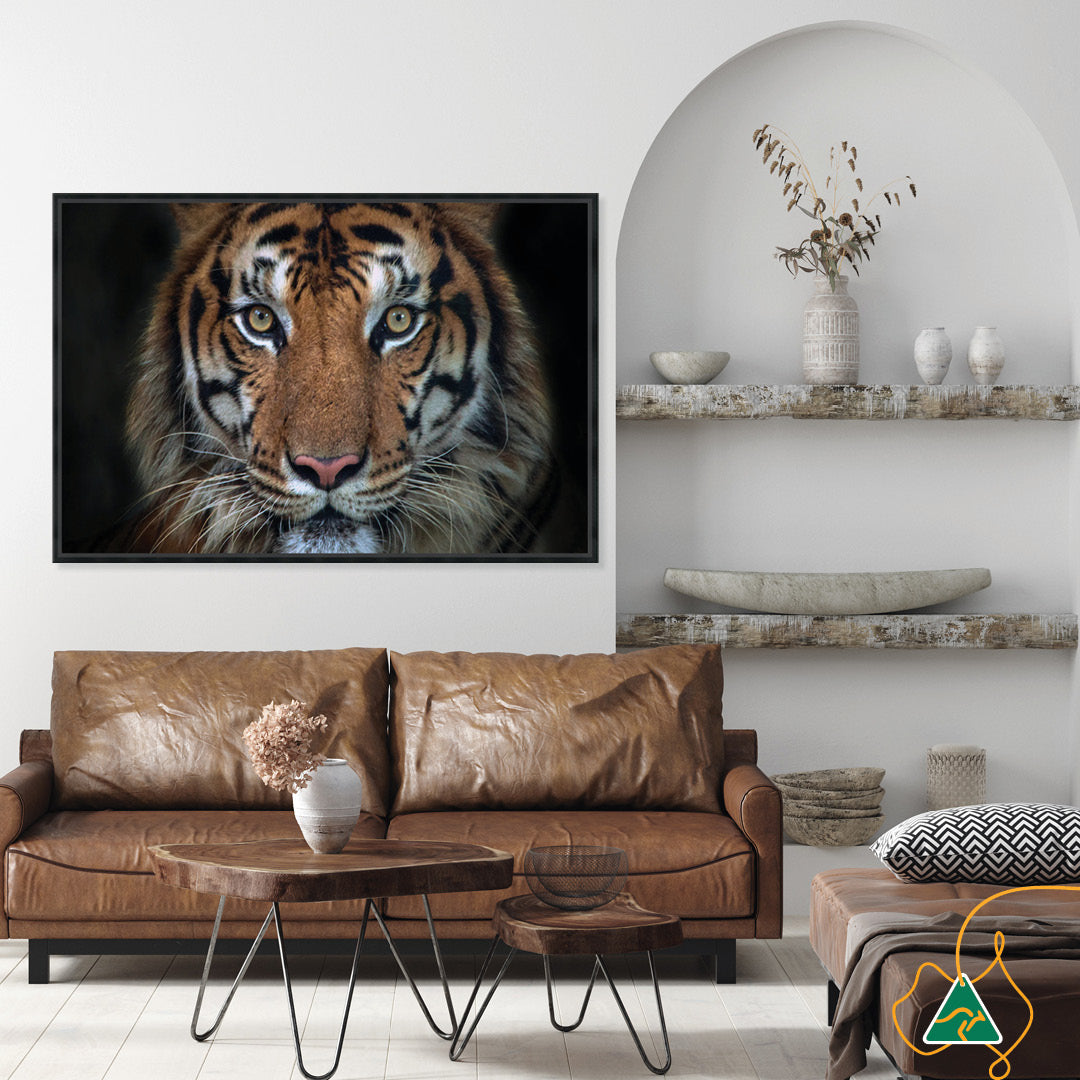 BENGAL TIGER I - Framed Canvas