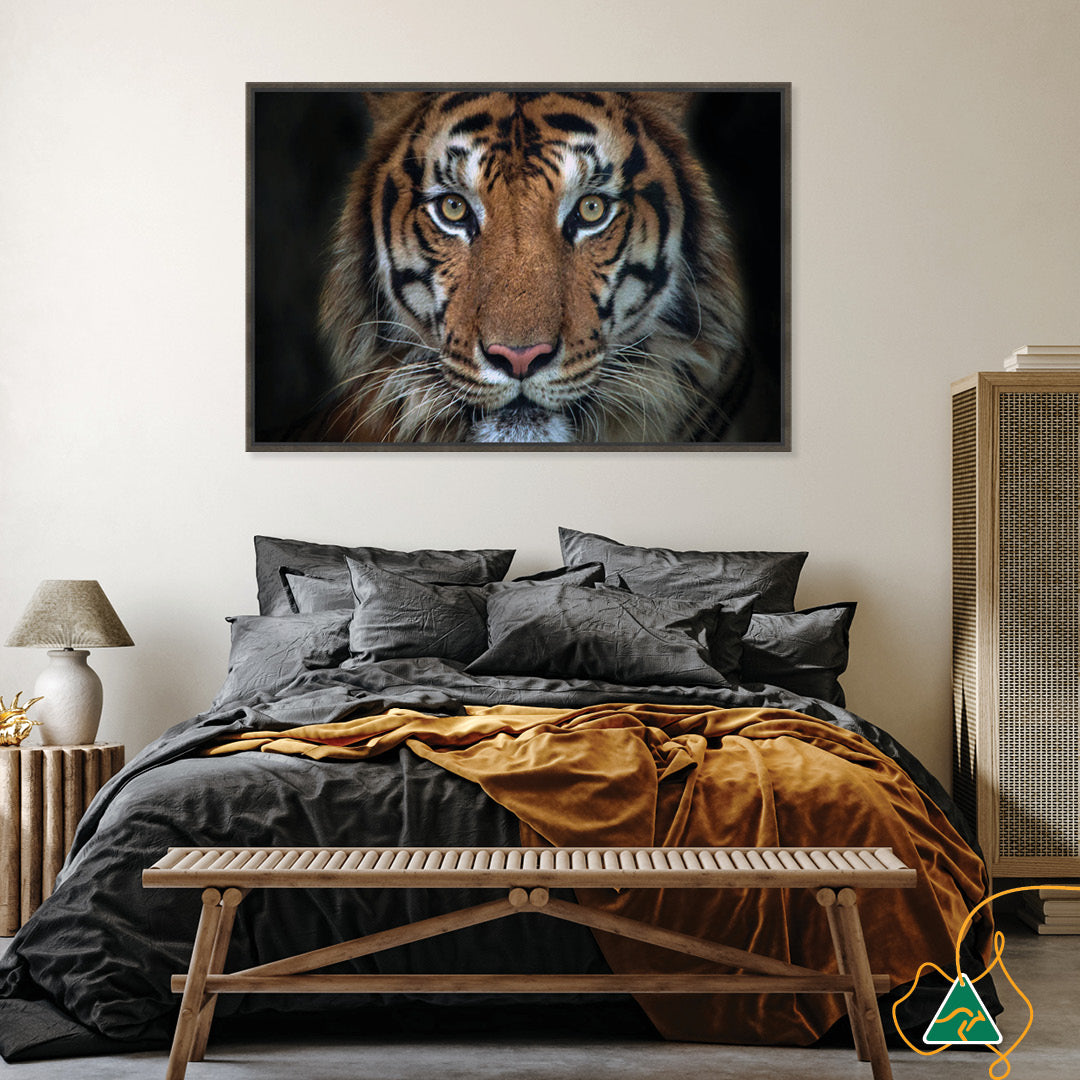 BENGAL TIGER I - Framed Canvas