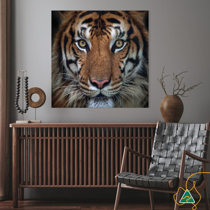 BENGAL TIGER II - Canvas Print