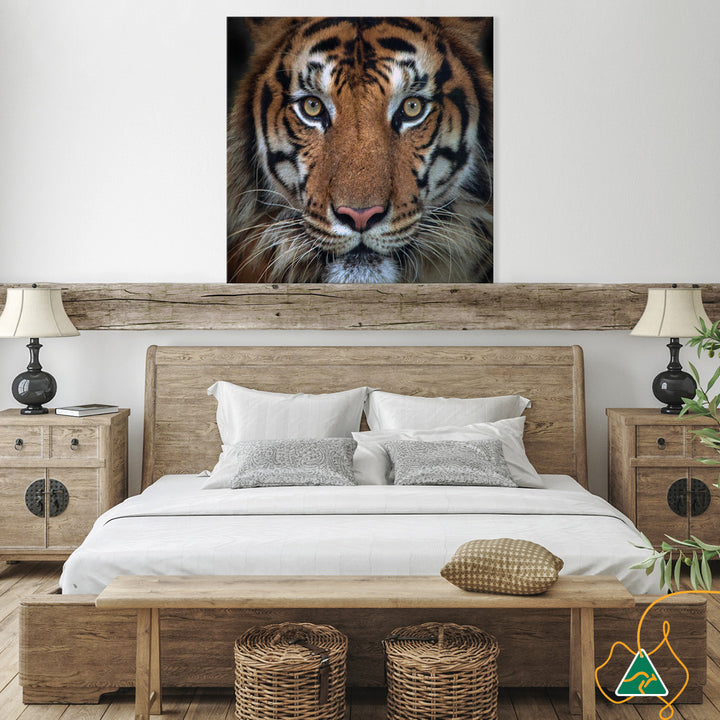 BENGAL TIGER II - Canvas Print