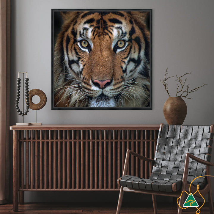 BENGAL TIGER II - Framed Canvas