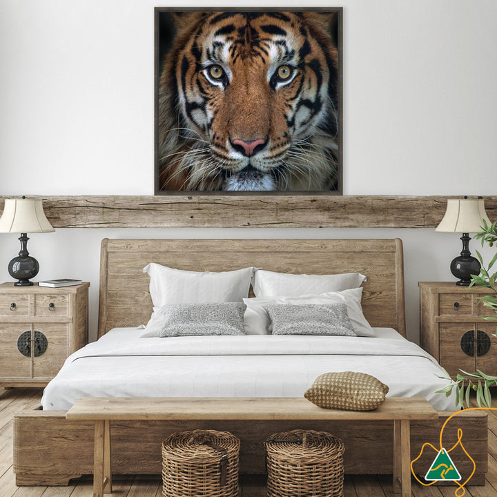 BENGAL TIGER II - Framed Canvas