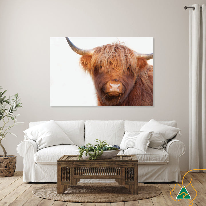 HAMISH I - Canvas Print