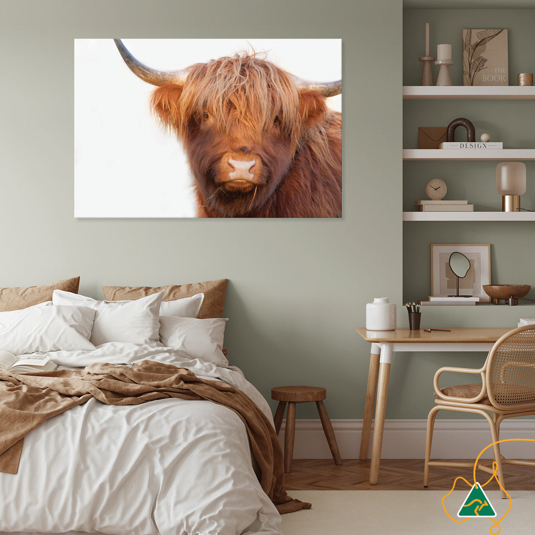 HAMISH I - Canvas Print