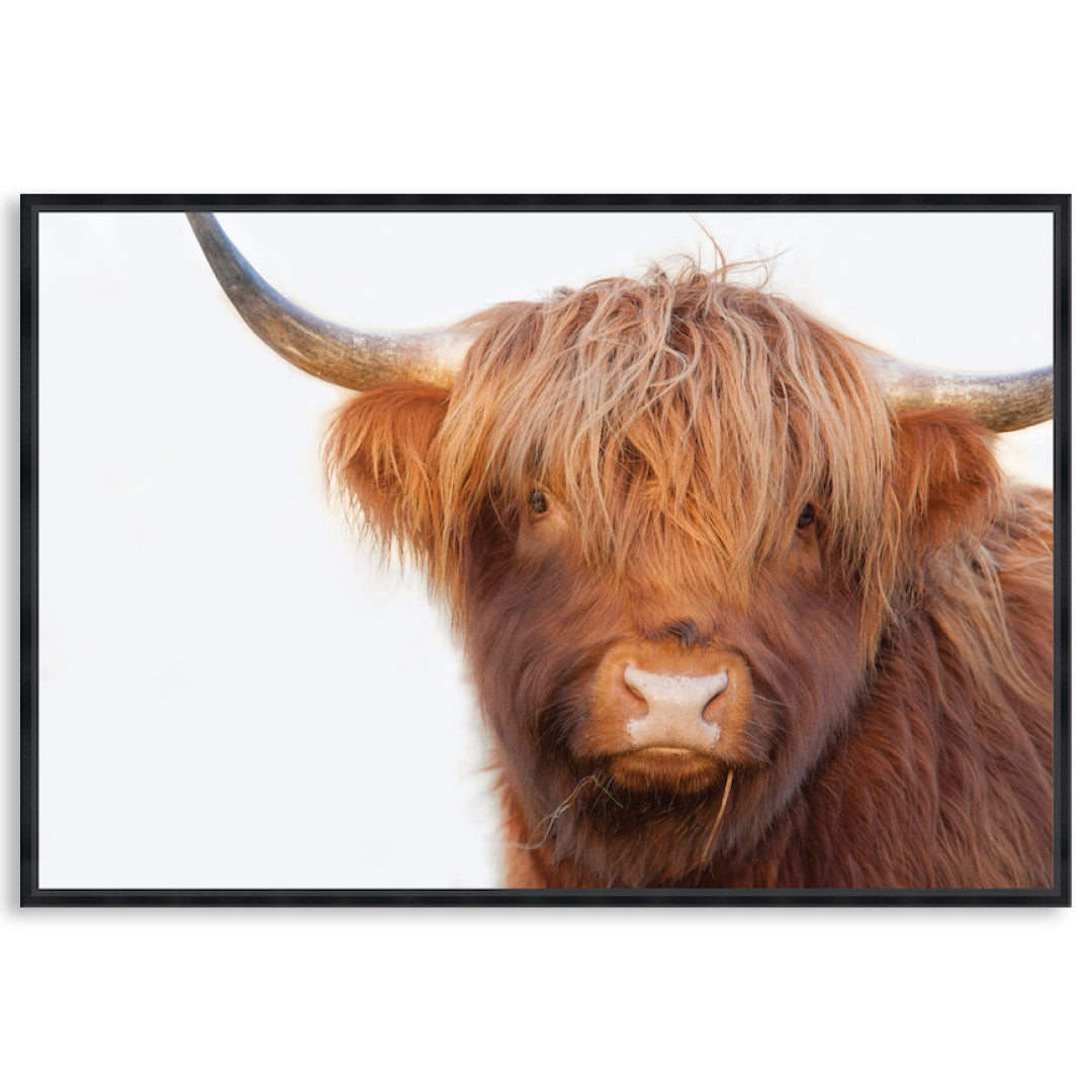 HAMISH I - Framed Canvas