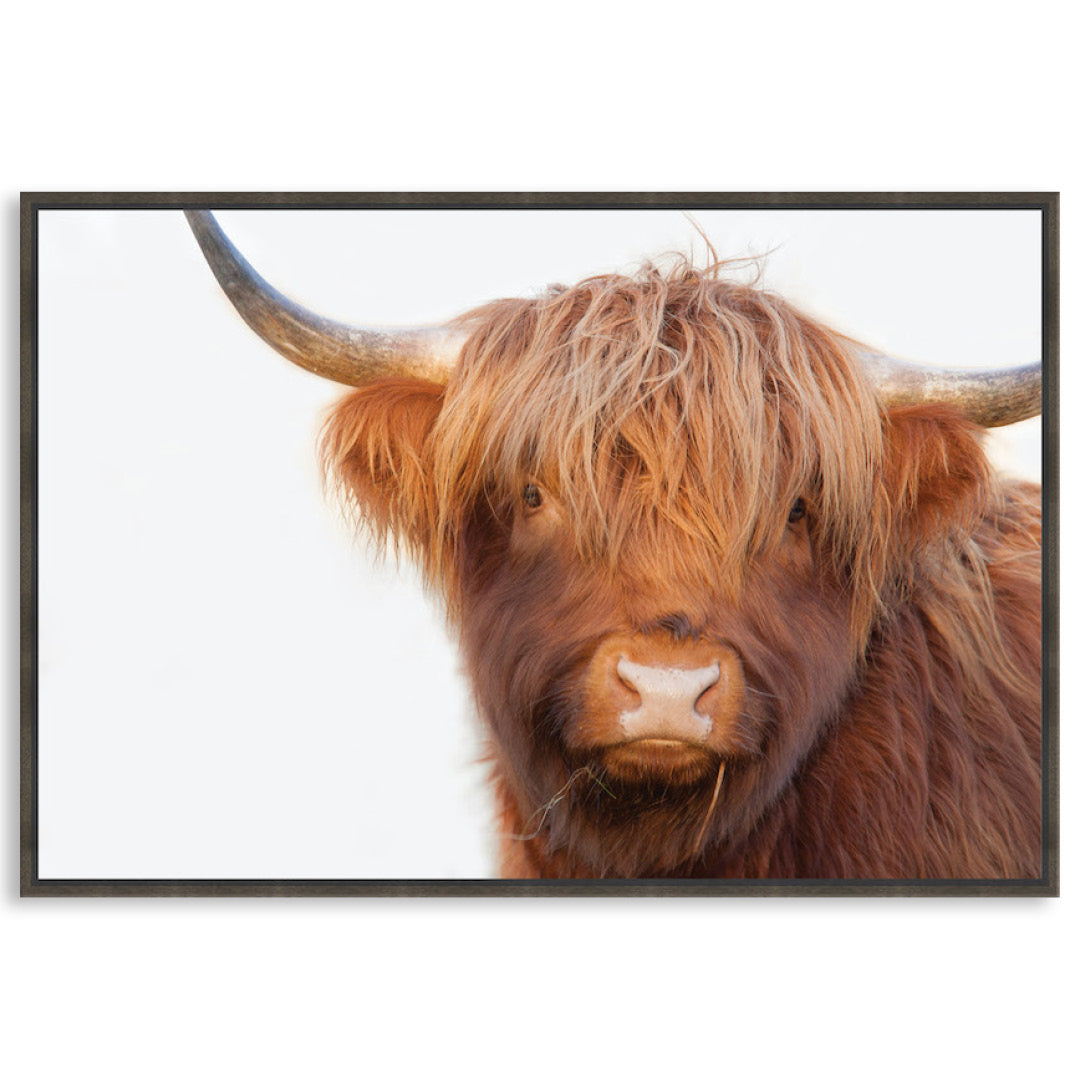 HAMISH I - Framed Canvas