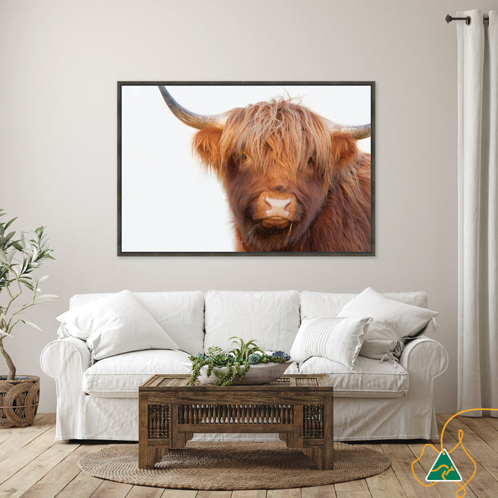 HAMISH I - Framed Canvas