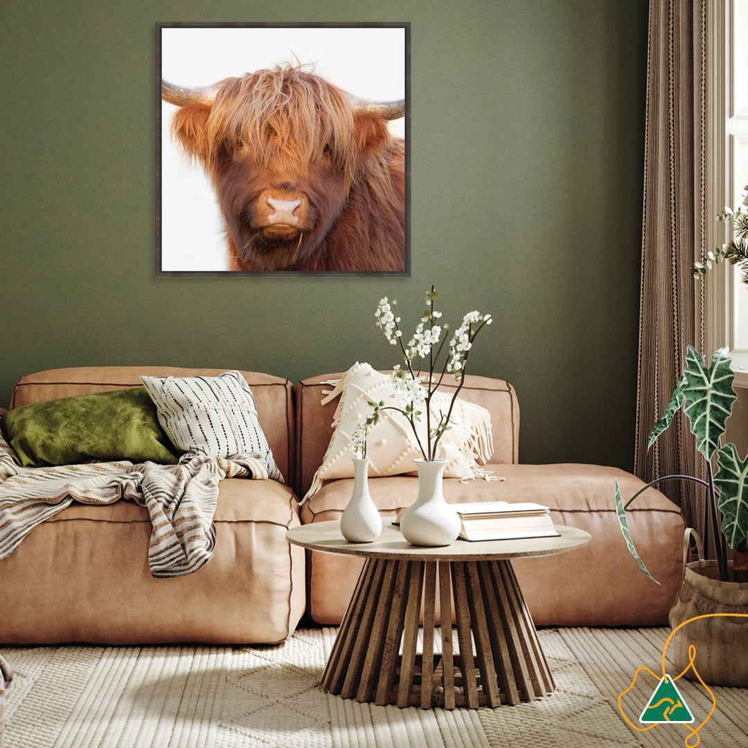 HAMISH II - Framed Canvas